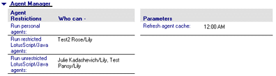 Server document, Agent Manager section
