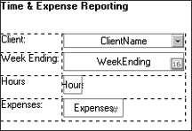 Fields in the Time & Expense form