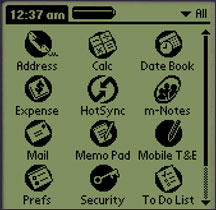 Test application icon on the Palm