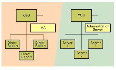 Chart of the Administration Process