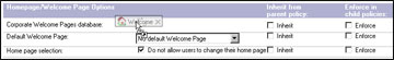 Homepage/Welcome Page Options