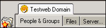 Domain tab