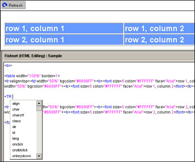 HTML Pane