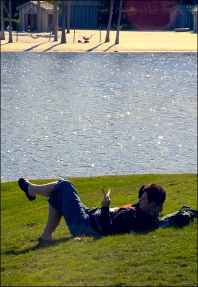 A Lotusphere attendee checks her schedule during a break to soak up some sun between sessions outside the Dolphin.