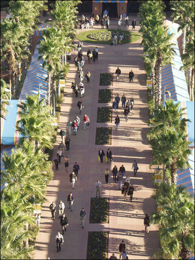 Walking is a way of life at Lotusphere.