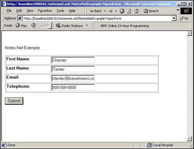The form in Internet Explorer