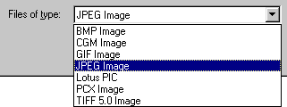 File formats
