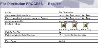 Completed File Distribution Process Request form