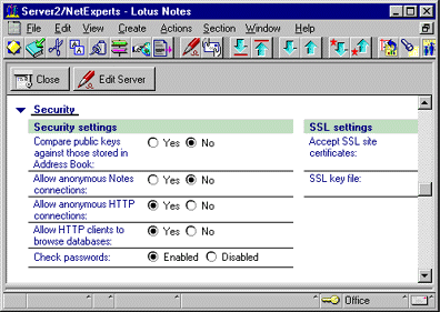 Server document, Security section