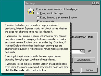 IE 5.5 caching settings