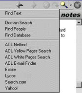 The Domain Search option in the Notes client